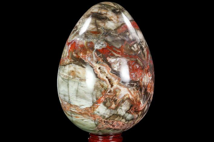 Colorful, Polished Petrified Wood Egg - Triassic #104626
